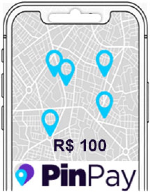 pinpay100